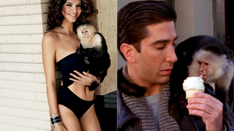 Illustration for article titled Who Loves Marcel the Monkey Best: Ross From Friends or Kendall Jenner?